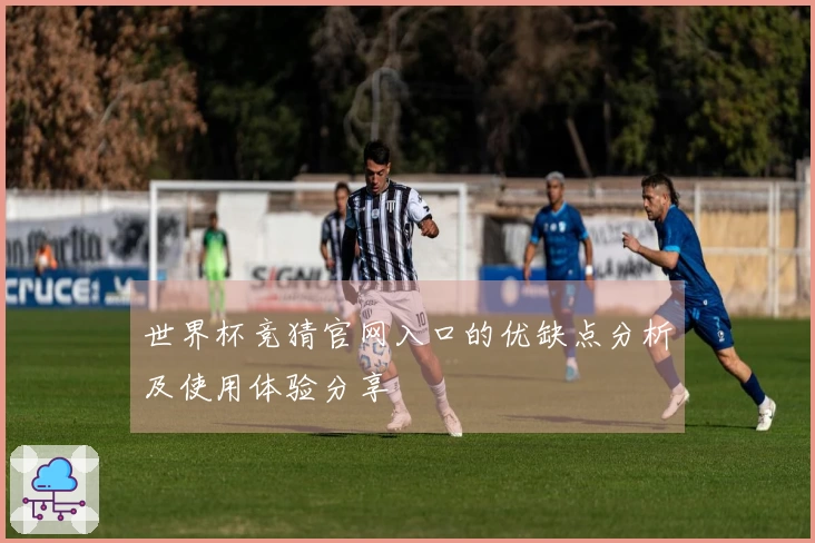 世界杯竞猜官网入口的优缺点分析及使用体验分享