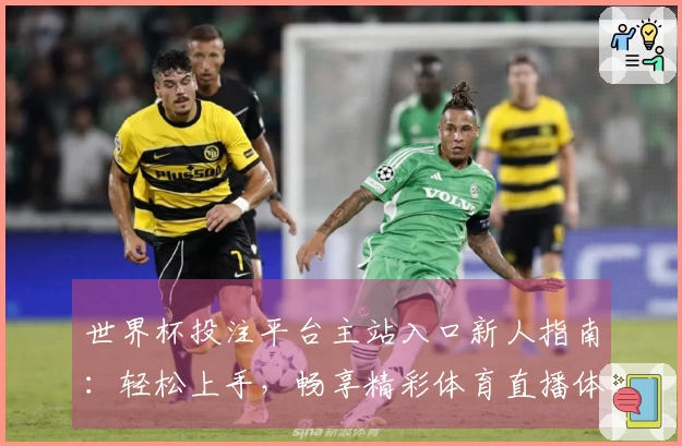 世界杯投注平台主站入口新人指南：轻松上手，畅享精彩体育直播体验