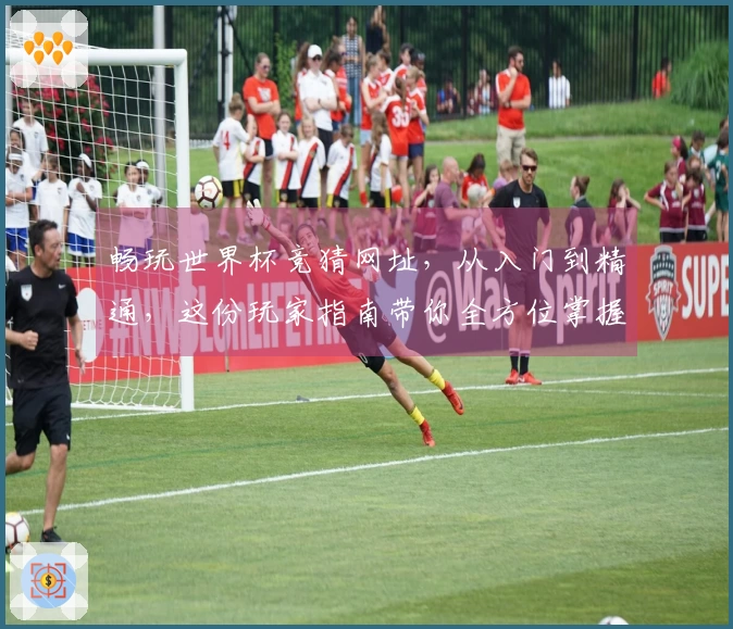 畅玩世界杯竞猜网址，从入门到精通，这份玩家指南带你全方位掌握！