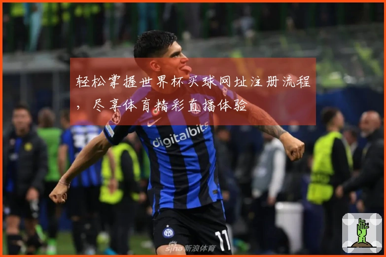 轻松掌握世界杯买球网址注册流程，尽享体育精彩直播体验