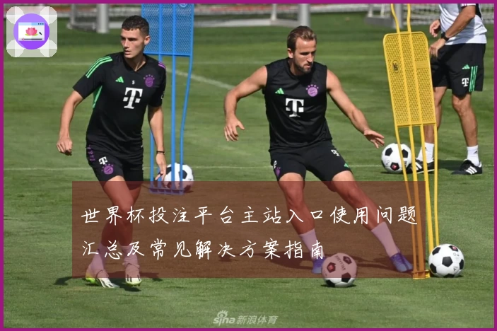 世界杯投注平台主站入口使用问题汇总及常见解决方案指南