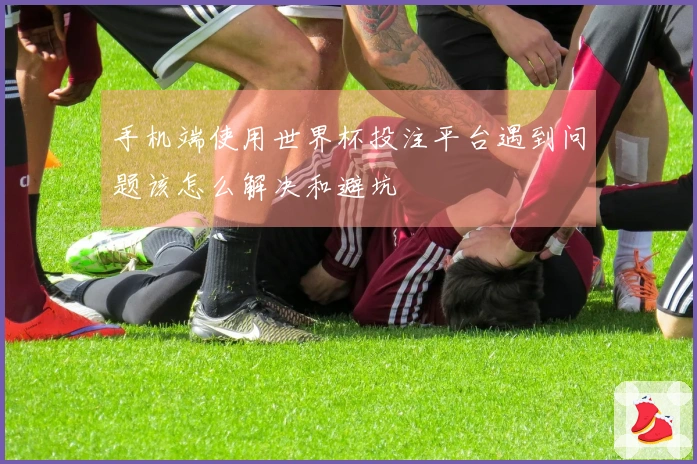 手机端使用世界杯投注平台遇到问题该怎么解决和避坑