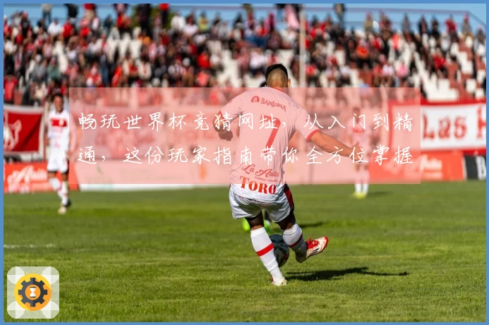 畅玩世界杯竞猜网址，从入门到精通，这份玩家指南带你全方位掌握！