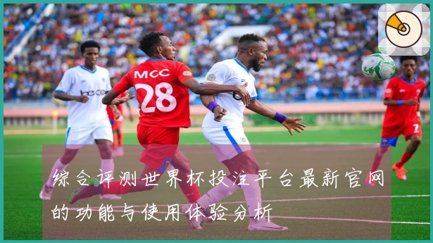 综合评测世界杯投注平台最新官网的功能与使用体验分析