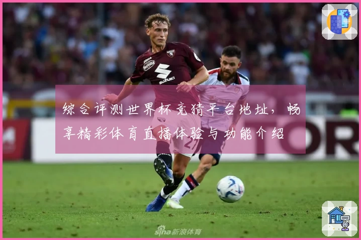 综合评测世界杯竞猜平台地址，畅享精彩体育直播体验与功能介绍