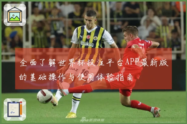 全面了解世界杯投注平台APP最新版的基础操作与使用体验指南